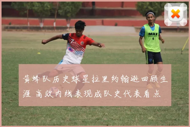 黄蜂队历史球星拉里约翰逊回顾生涯 高效内线表现成队史代表看点