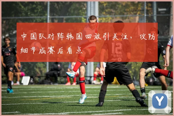 中国队对阵韩国回放引关注，攻防细节成赛后看点