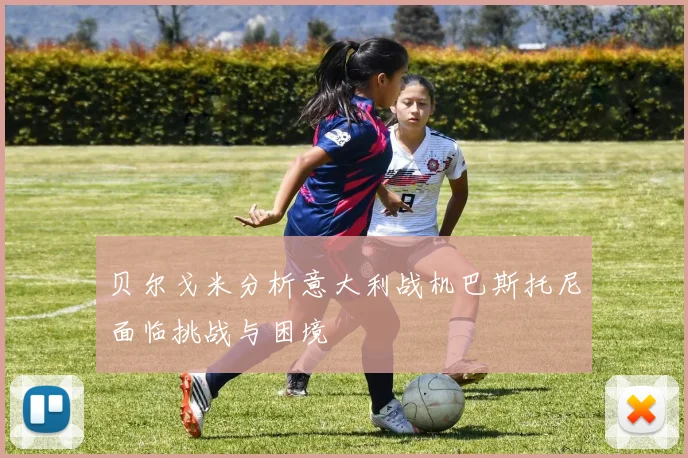 贝尔戈米分析意大利战机巴斯托尼面临挑战与困境